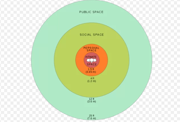 Screen Shot 2019-02-11 at 1.17.52 PM.png